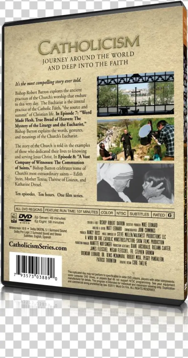 Back Preview - Flyer