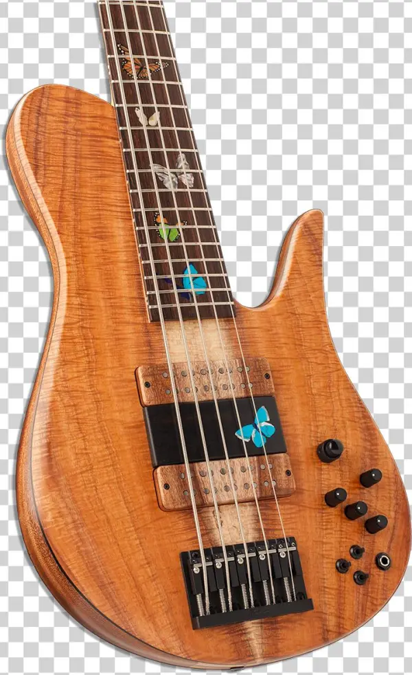 Bass Guitar