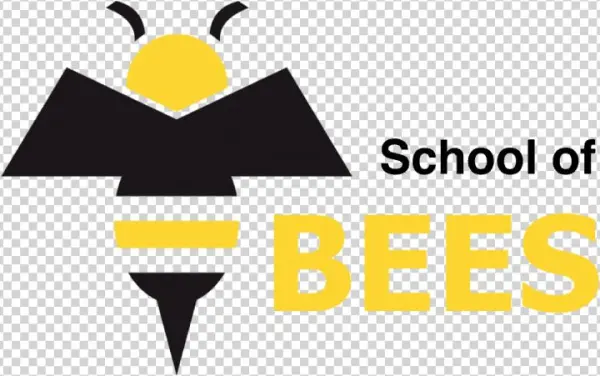 Everything You Could Possibly Want To Know About Bees,