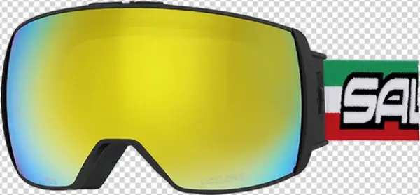 Goggles - Maschera Salice