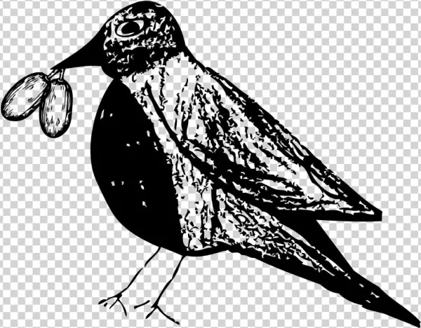 In 2015, La Princesa De Etzatlán And Her Brother Rubén - Illustration