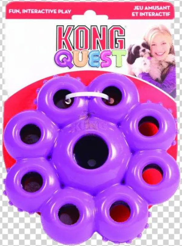 Kong Quest Star Pods Large Dog Toy - Plastic