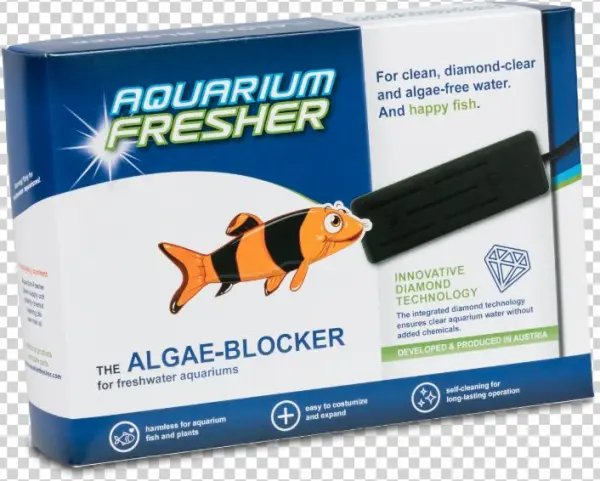Large For Aquarium Up To 500 L - Pomacentridae