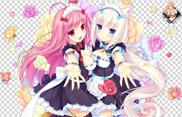 Nekopara Lily Index