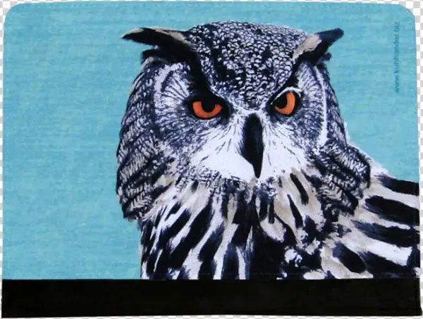 Owl Hedwig, Case For Ipad - Screech Owl