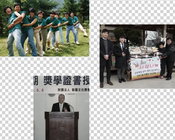 Purpose Of The Foundation's Establishment - Chair