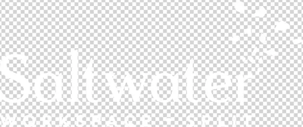 Saltwater-logo - Poster