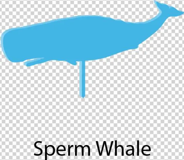 Sea Creatures Cake Toppers - Whale