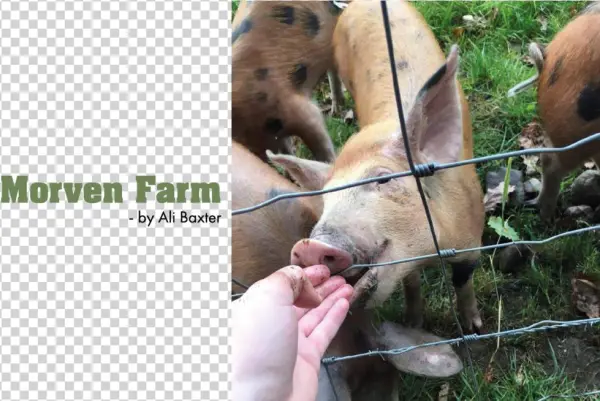 140artboard 1-101w - Merrill Lynch