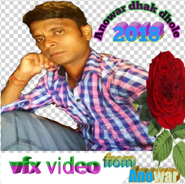 Anowar Dhak Dhole - Garden Roses