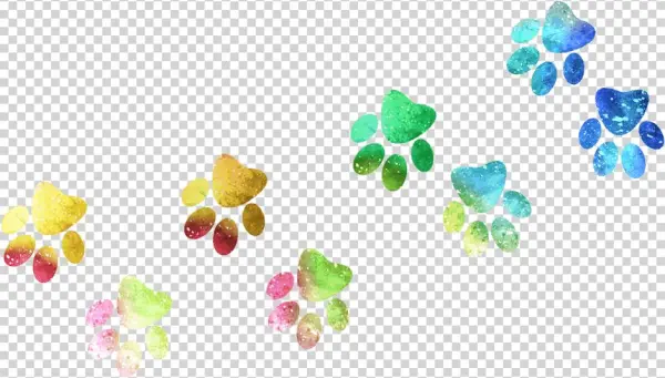 Arco Iris Sweet Lime Fizz - Floral Design