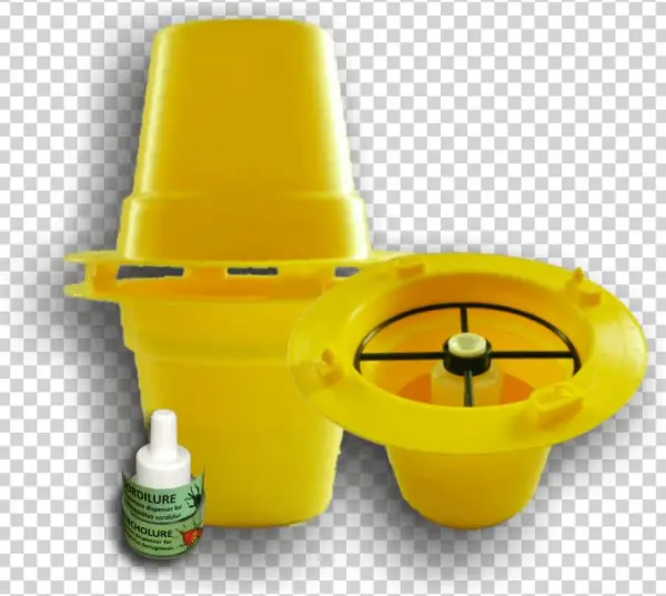 Bbw Pitfall Sordilure Pitfall Cosmogel - Tap