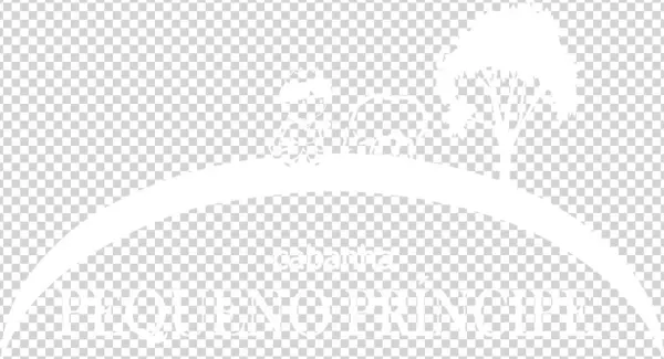 Cabanha Pequeno Príncipe - Camel Master Series