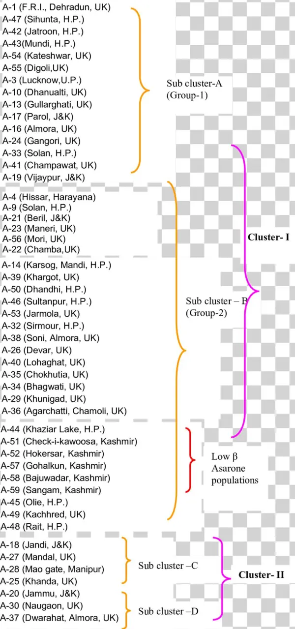 Dendrogram Developed Using Upgma Based - Diagram
