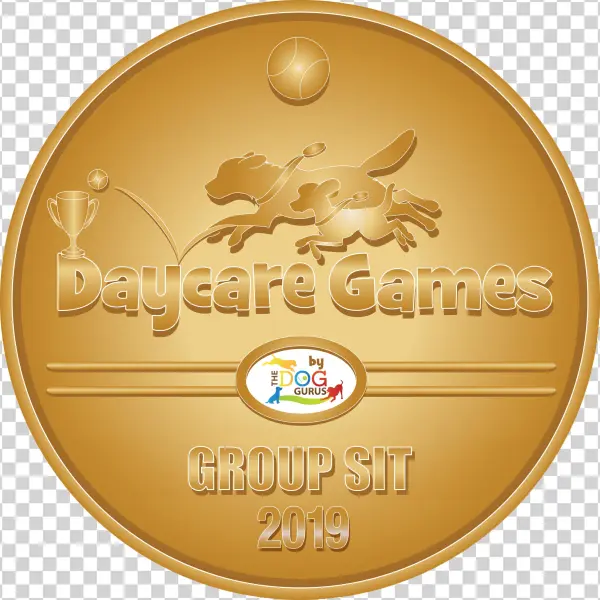 Download Gold Group Sit Medal - Badge