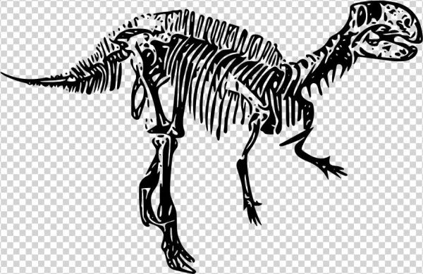 Download Png - Dinosaur