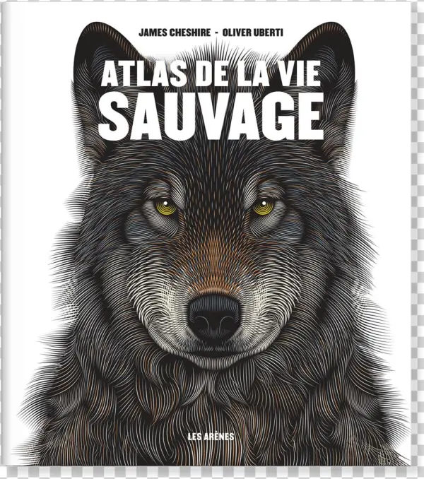 France - Grizzly Bear