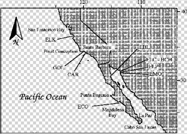 Free Png Download Map Png Images Background Png Images - Map