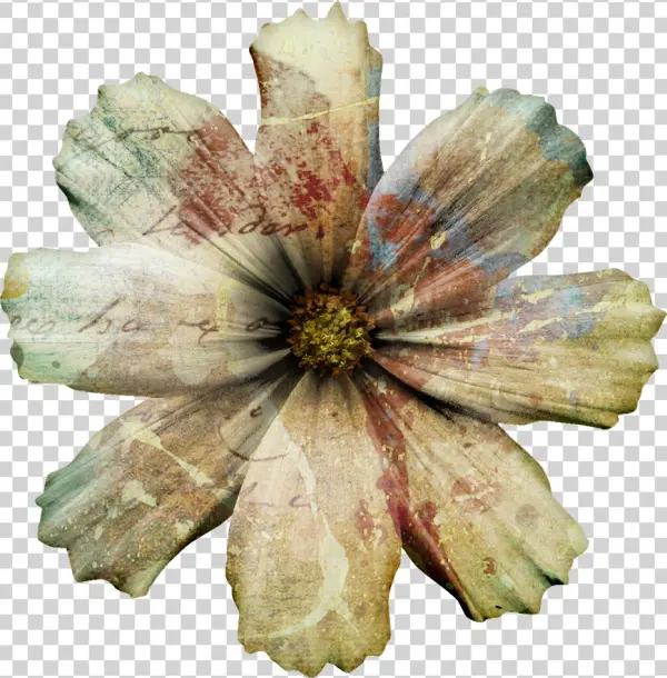 I Decided To Go Crazy With Splatter Brushes, Overlays, - Clematis