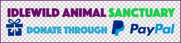 Images Navigation - Paypal