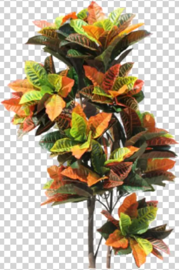 Indoorplant Sticker - Floral Design