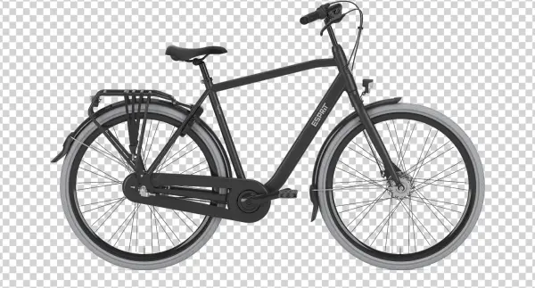 Key Features - Gazelle Esprit C3 2019