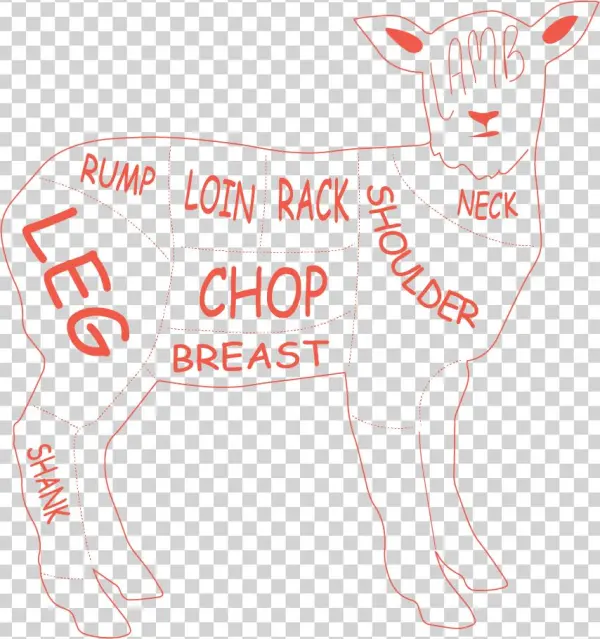 Lamb Loin Roast/saddle - Cartoon
