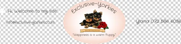 Logo - Yorkshire Terrier