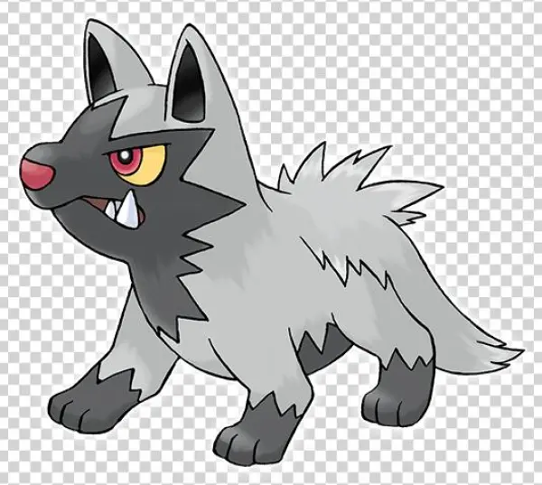 Pokemon Poochyena