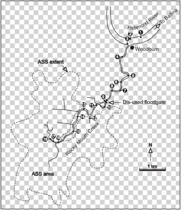 Sampling Locations In Rocky Mouth Creek - Diagram