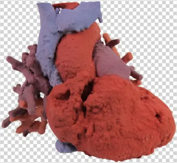 Skip To The End Of The Images Gallery - Suede