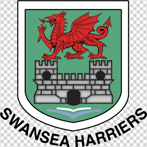 Swansea Harriers Open Meeting - Bachelorette Party