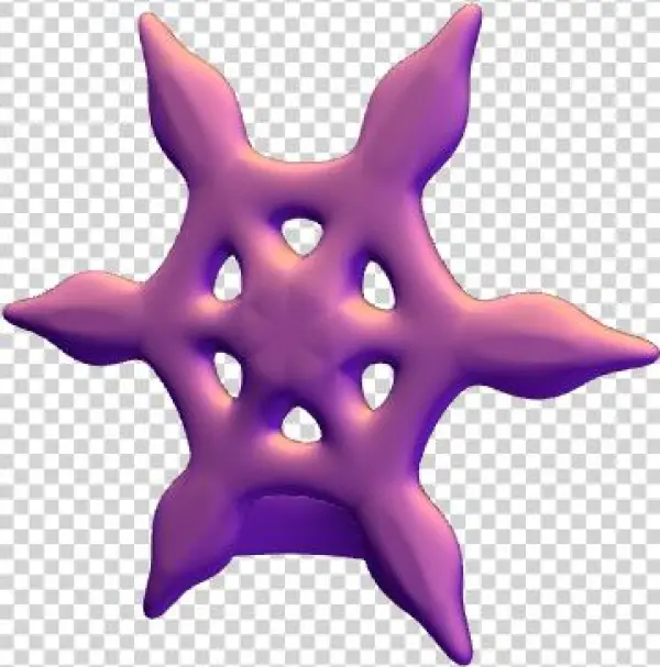 Top Of A Christmas Tree - Dessert