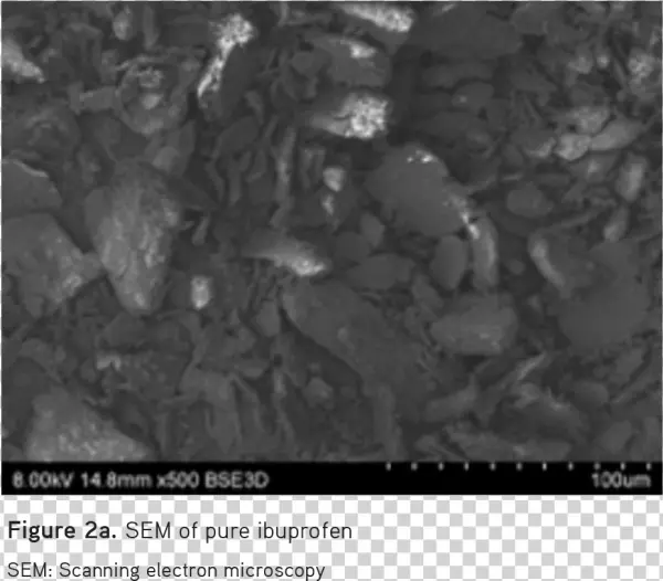 Under High Magnification, It Was Further Observed That - Monochrome