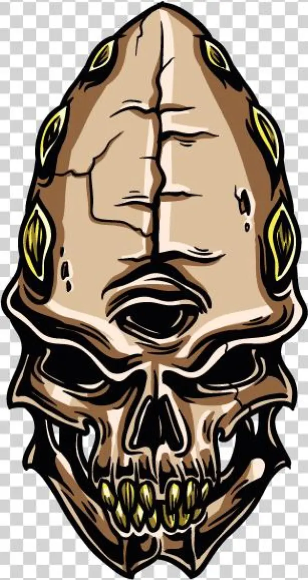 Wordpress Plugins A To Z Talking Wordpress And A Recap - Skull