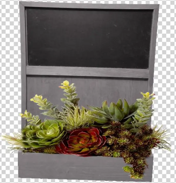 Categories - Floral Design