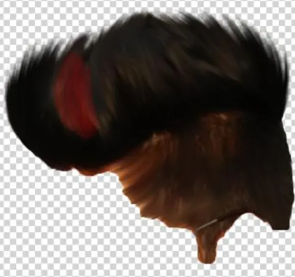 Hair Png ➤ Download - Fur