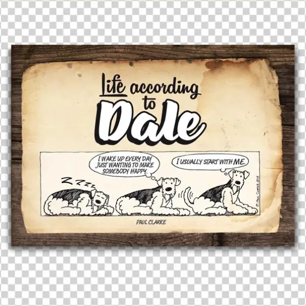 Life According To Dale Cartoon Book - Guinness Mirror