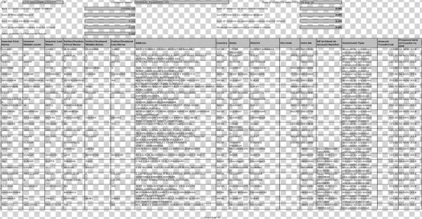 Pdfinvestor First Name Investor Middle Name - Document