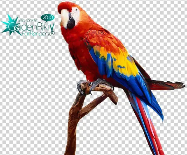 Photo Parrot - Teorex Photoscissors