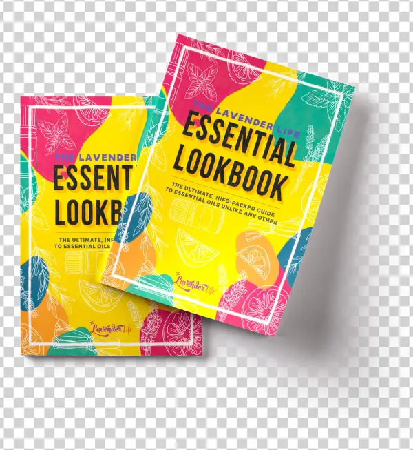 The Essential Lookbook Is A Powerful Tool That Gives - Flyer