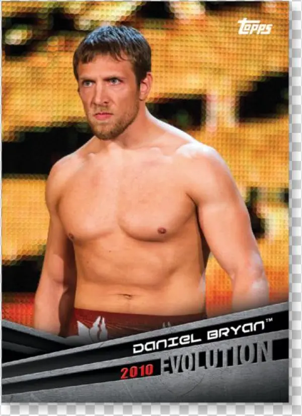 2018 Topps Wwe Daniel Bryan - Daniel Bryan