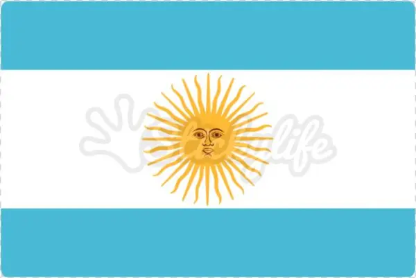 Argentina Decal - African Daisy