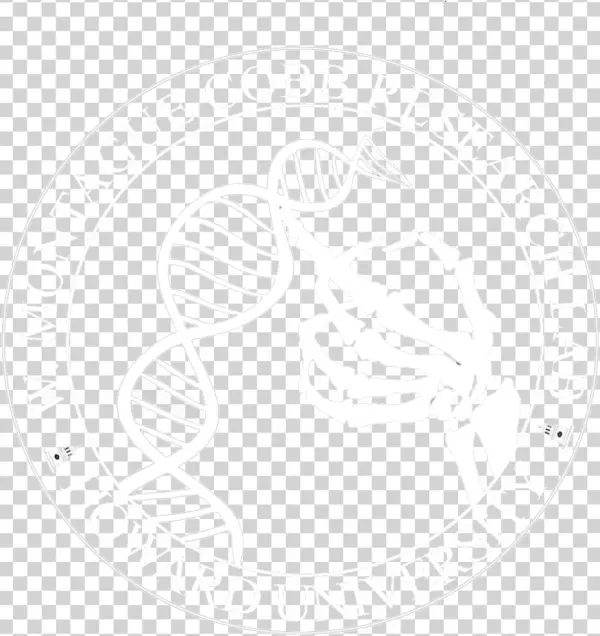 Cobb Seal Clear White - Sketch