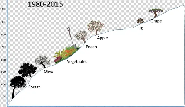 Current Agriculture In The Village Of Abadiyeh - Night