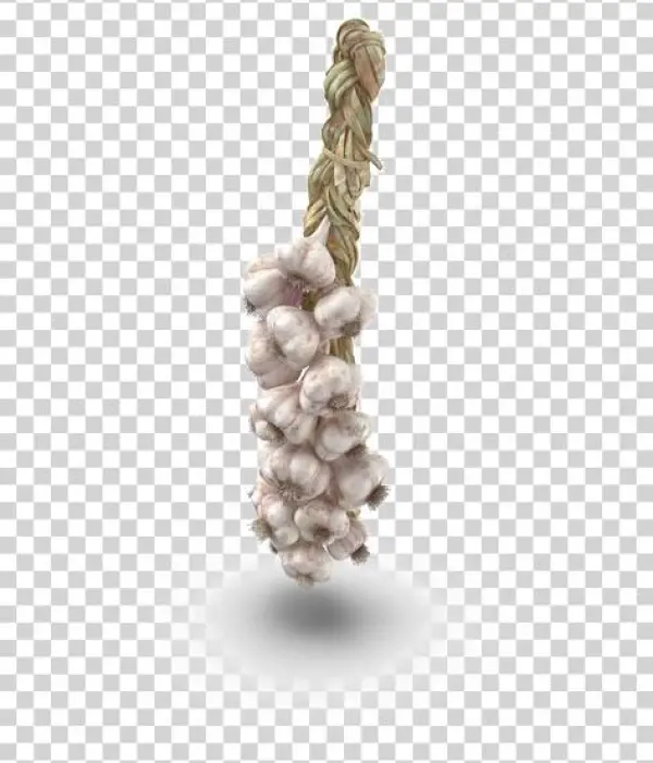 Garlic Png Background Image - Bead