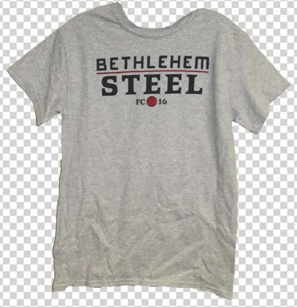 Gildan Men's Word Logo Tee- Grey - Descendents Shirt