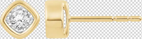 Hover To Zoom - Earrings