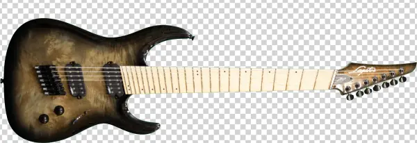 Ninja - Electric Guitar