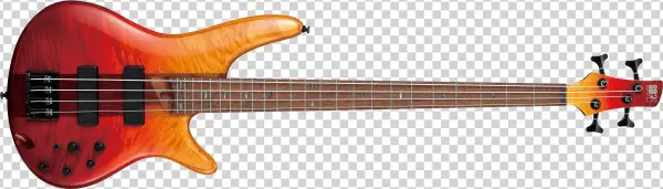 Photos - Schecter Sls Elite Bass